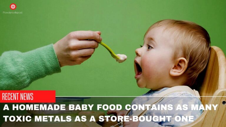 A Homemade Baby Food Contains As Many Toxic Metals As A Store-Bought One