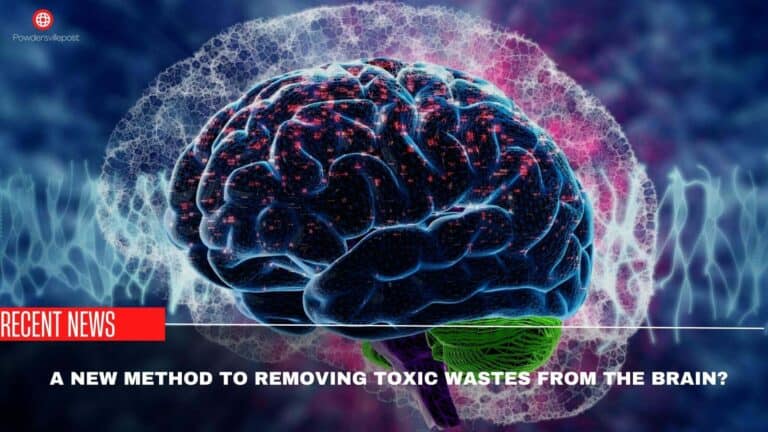 A New Method For Removing Toxic Wastes From The Brain?