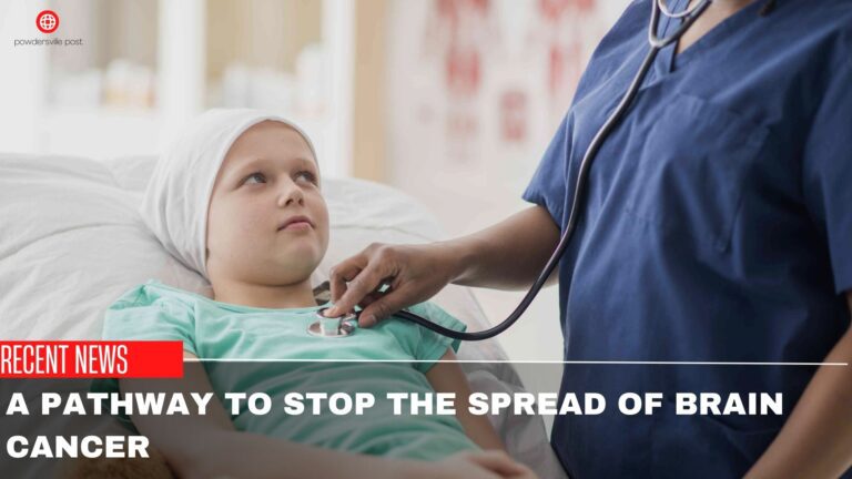 A Pathway To Stop The Spread Of Brain Cancer -Researches Suggests