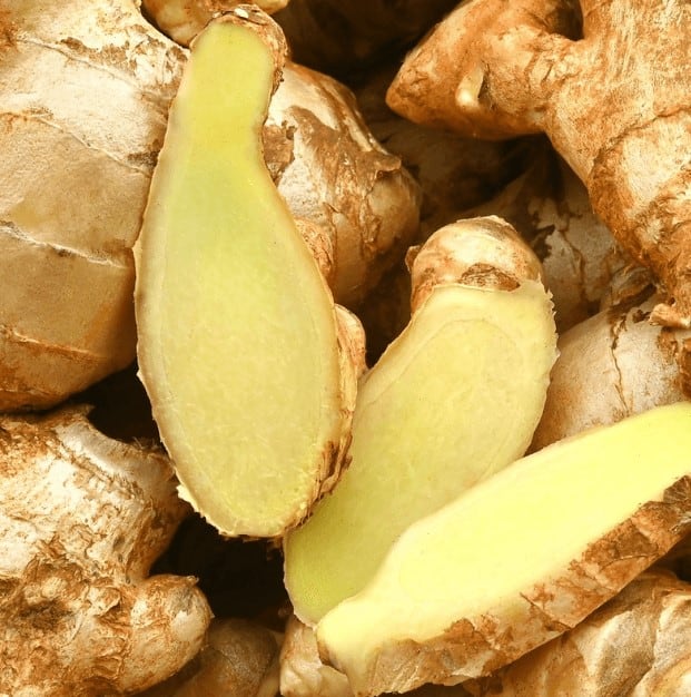 All Day Slimming Tea Ingredient Ginger