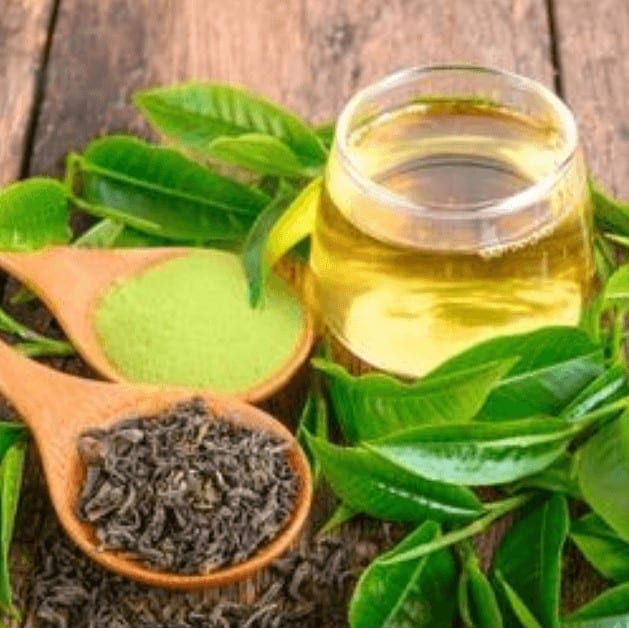 All Day Slimming Tea Ingredient Green Tea