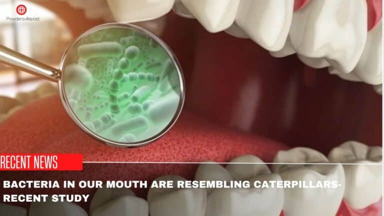 Bacteria In Our Mouth Are Resembling Caterpillars: Recent Study