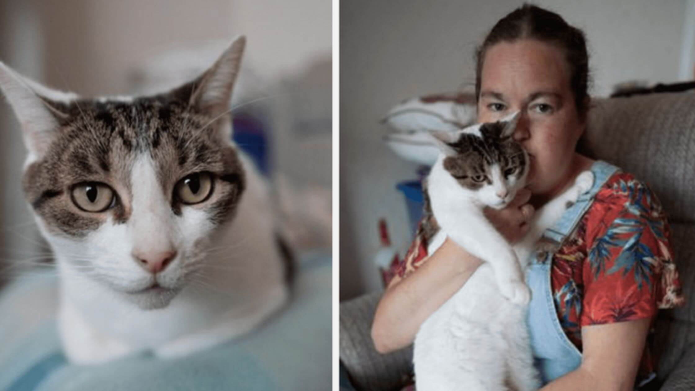 Cat Saves Owner's Life During A Heart Attack