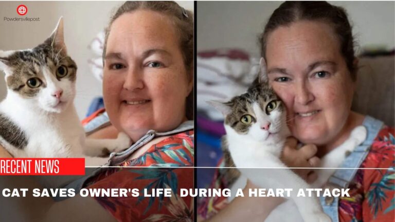 Cat Saves Owner’s Life During A Heart Attack