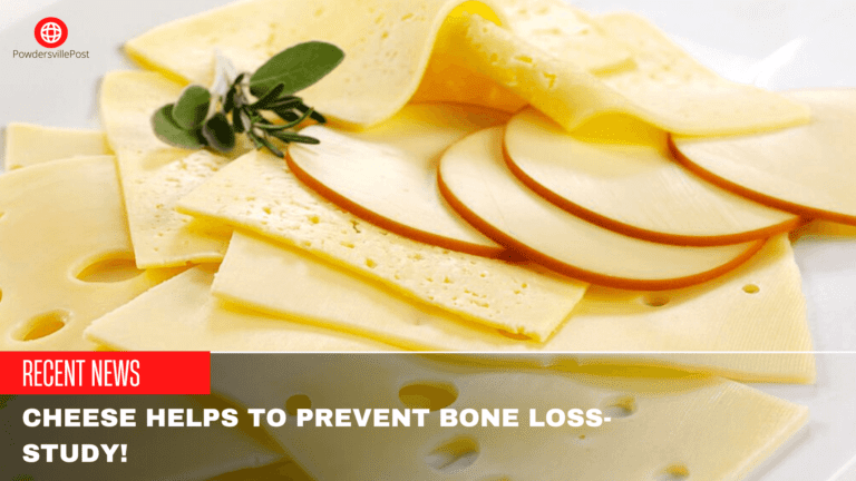 Cheese Helps To Prevent Bone Loss- Study!