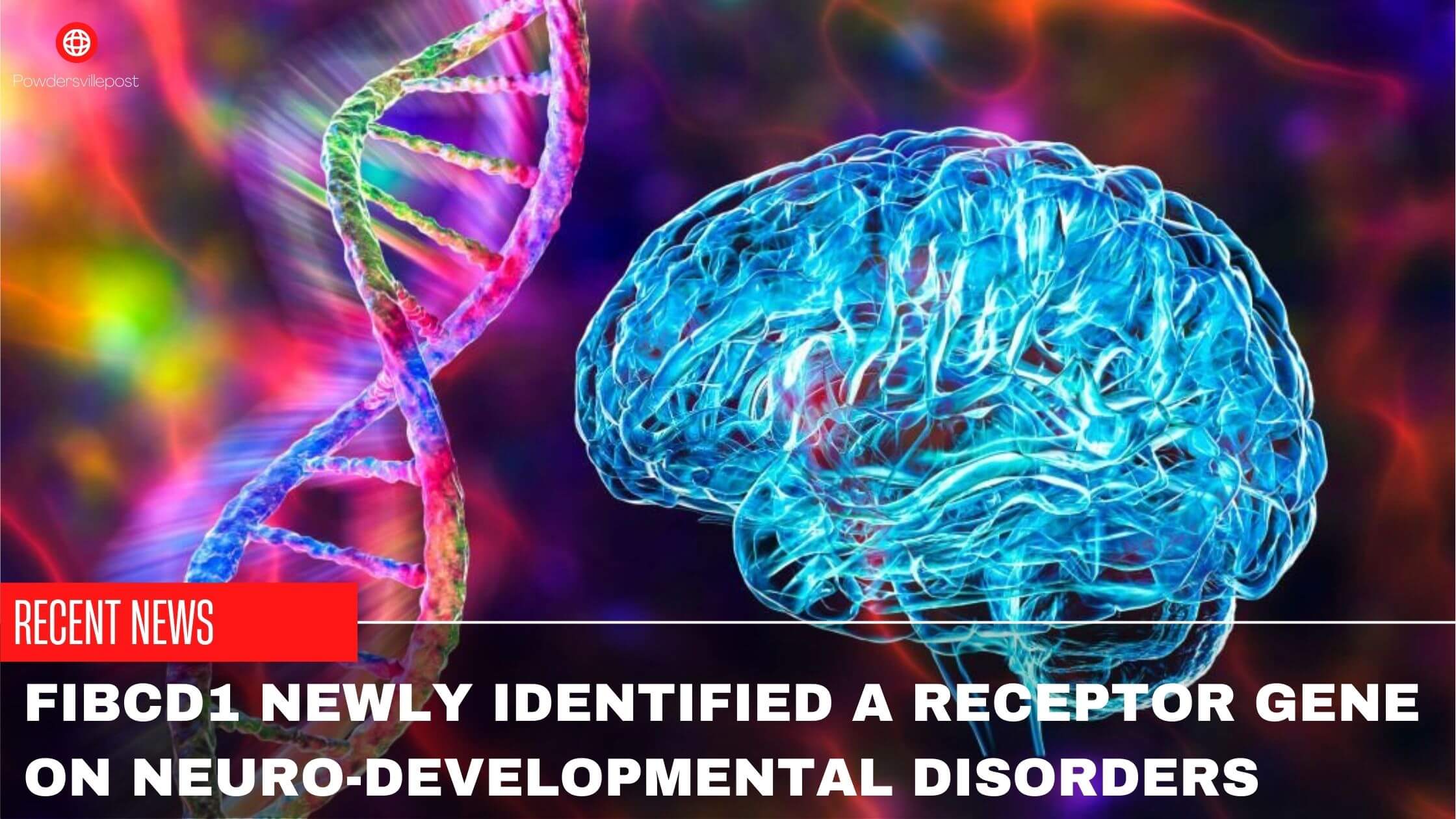 FIBCD1 Newly Identified A Receptor Gene On Neuro-Developmental Disorders