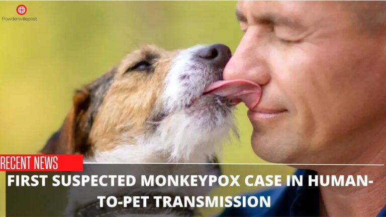 First Suspected Monkeypox Case In Human To Pet Transmission