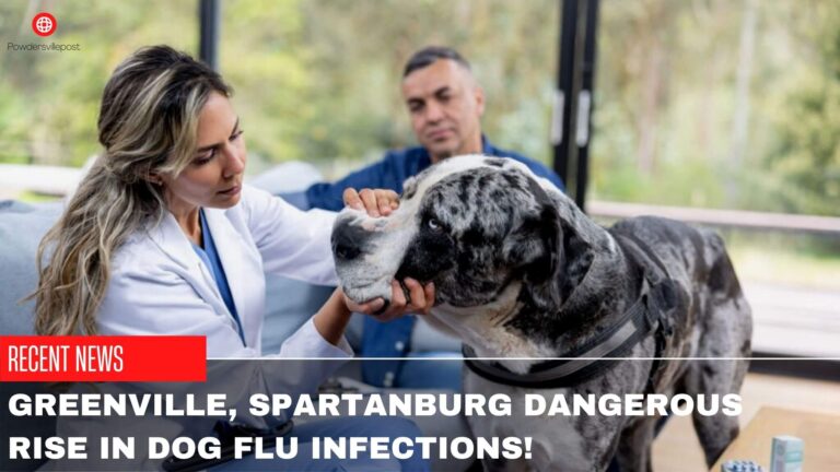 Greenville, Spartanburg Dangerous Rise In Dog Flu Infections!