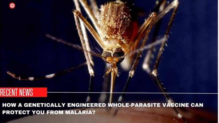 How A Genetically Engineered Whole-Parasite Vaccine Can Protect You From Malaria?