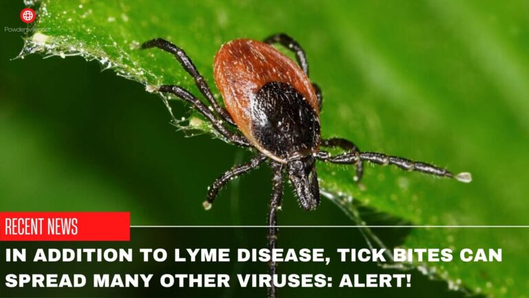 In Addition To Lyme Disease, Tick Bites Can Spread Many Other Viruses: Alert!