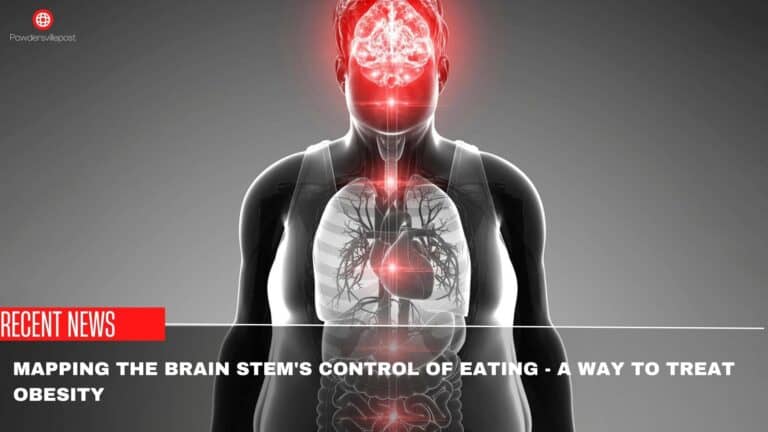 Mapping The Brain Stem’s Control Of Eating – A Way To Treat Obesity