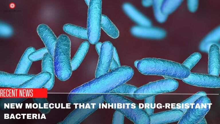 New Molecule That Inhibits Drug-Resistant Bacteria