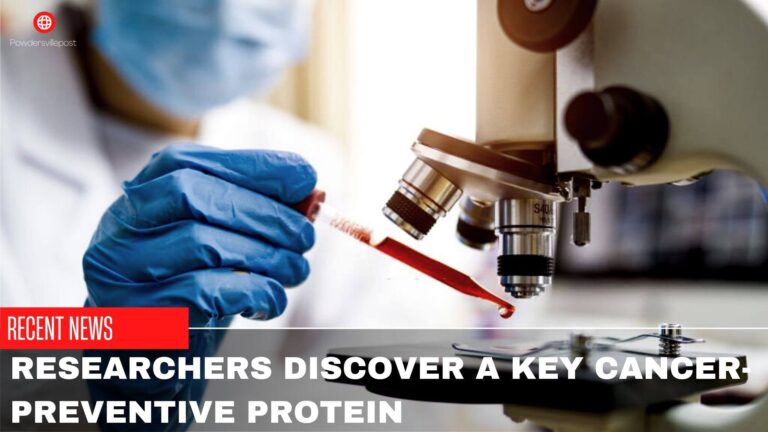 Researchers Discover A Key Cancer-Preventive Protein