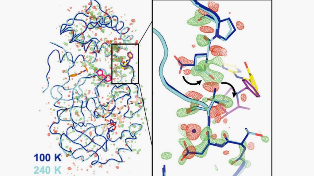Scientist's Observation Of Covid Enzymes
