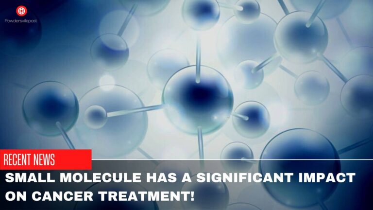 Small Molecule Has A Significant Impact On Cancer Treatment!