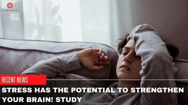 Stress Has The Potential To Strengthen Your Brain! Study