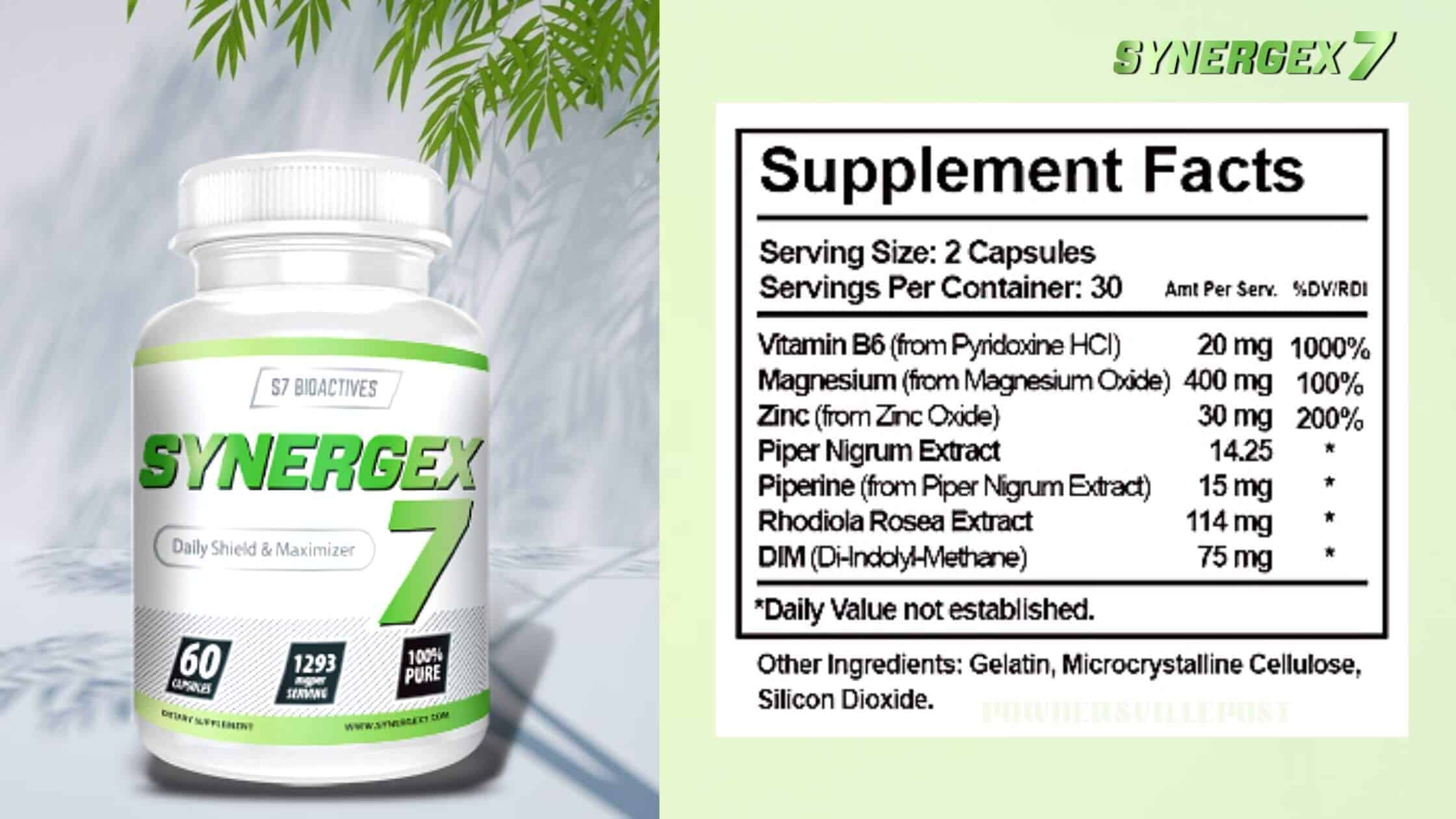 Synergex 7 Dosage