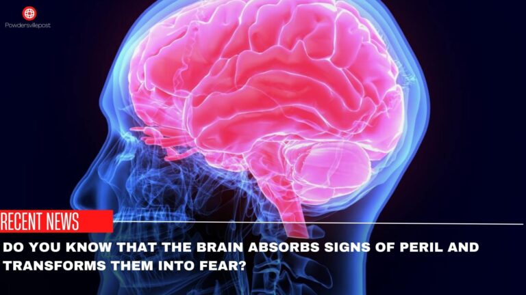 The Brain Absorbs Signs Of Peril And Transforms Them Into Fear