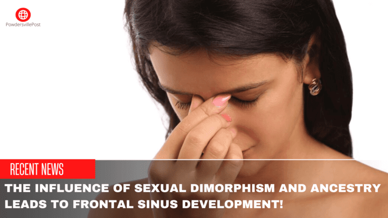 The Influence Of Sexual Dimorphism And Ancestry Leads To Frontal Sinus Development!