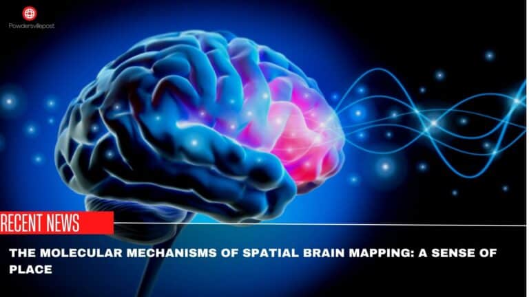 The Molecular Mechanisms Of Spatial Brain Mapping: A Sense Of Place