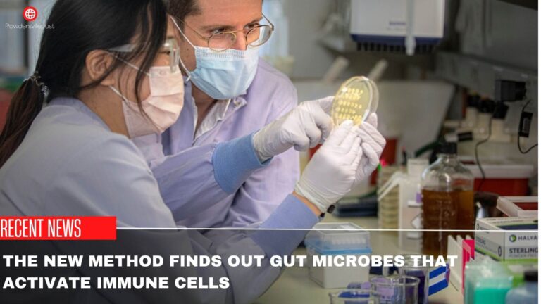 The New Method  Finds Out Gut Microbes Activate Immune Cells