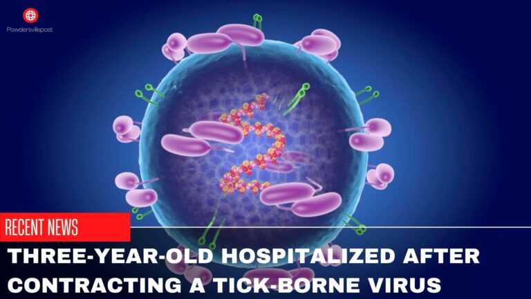 Three-Year-Old Hospitalized After Contracting A Tick-Borne Virus