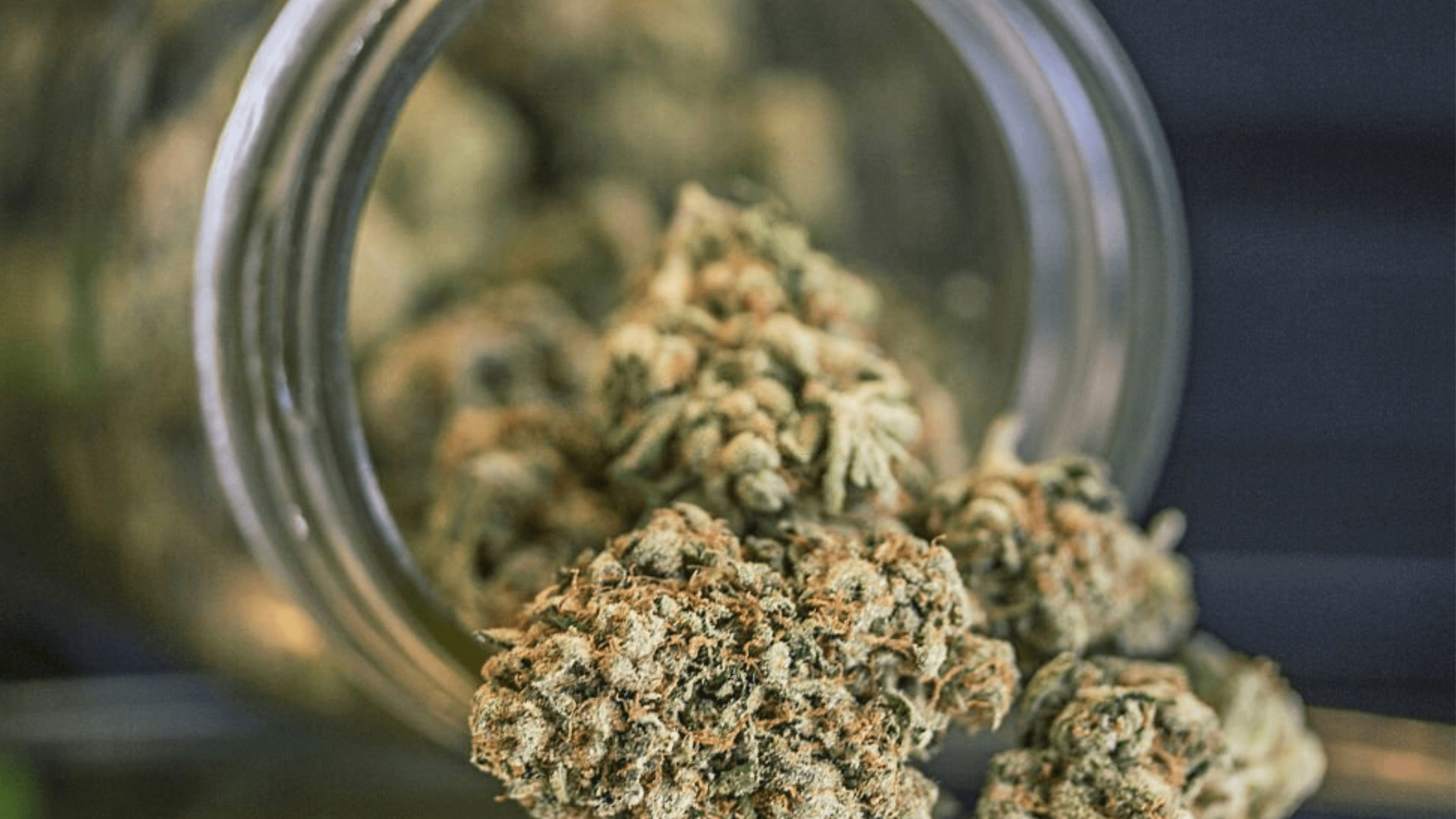 What Is The Effect Of Weed On Your Body? Is It Good?