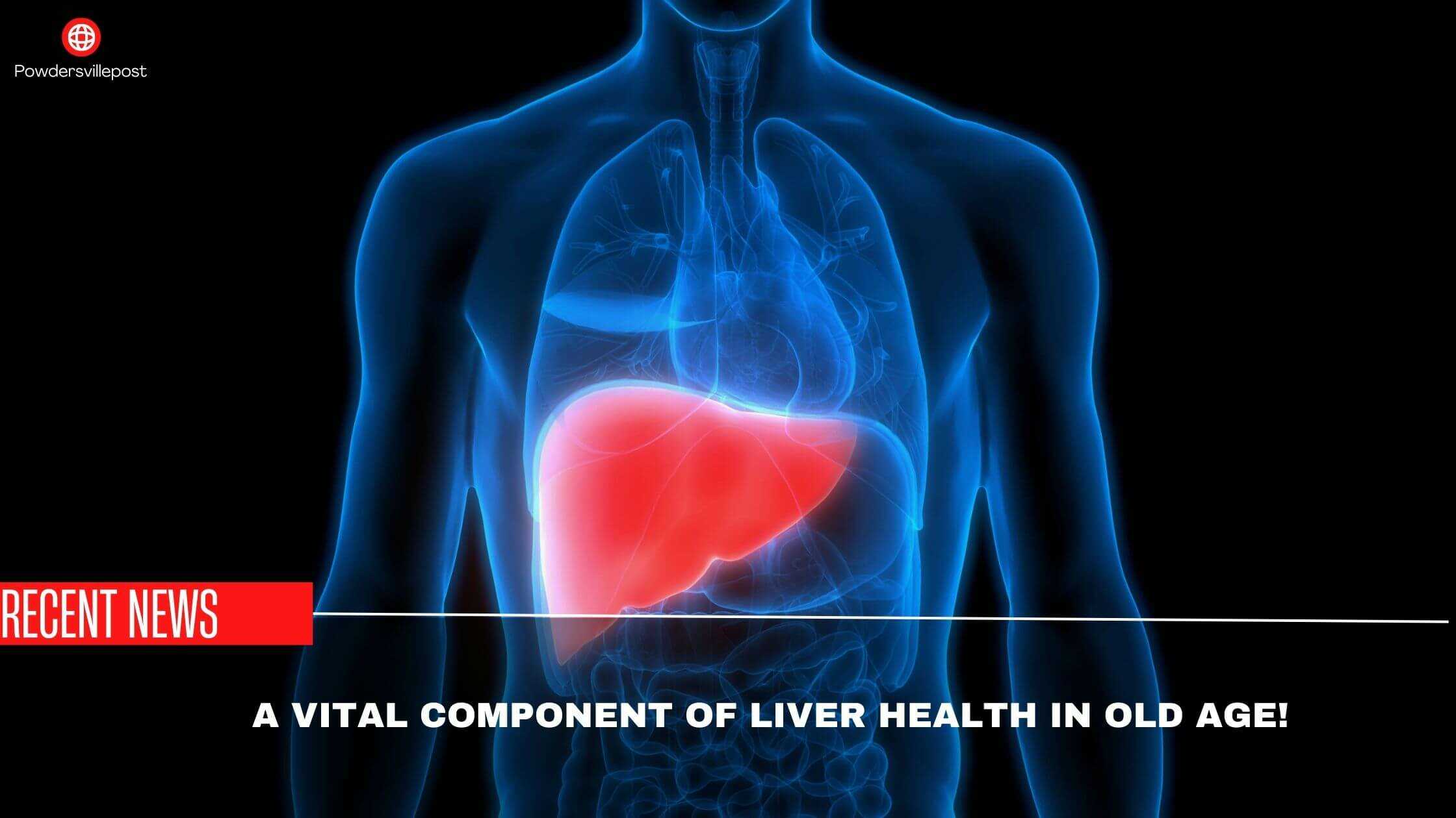 A Vital Component Of Liver Health In Old Age!