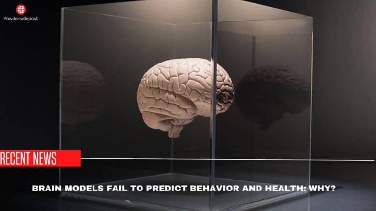 Brain Models Fail To Predict Behavior And Health: Why?