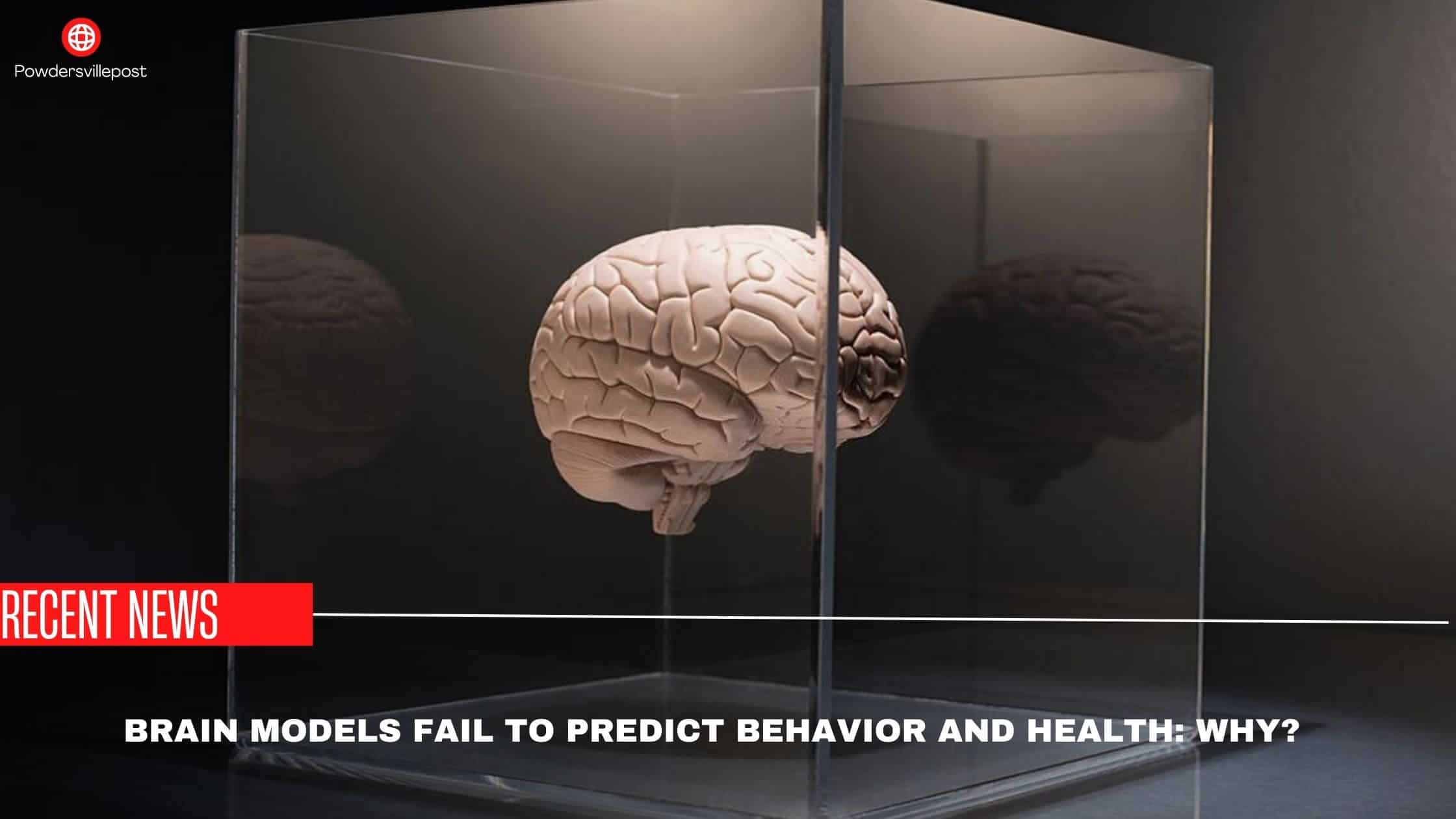 Brain Models Fail To Predict Behavior And Health Why