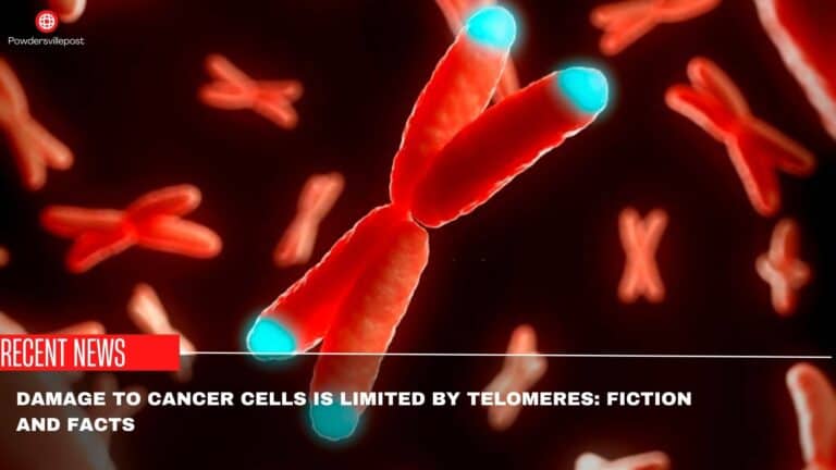 Damage To Cancer Cells Is Limited By Telomeres: Fiction And Facts