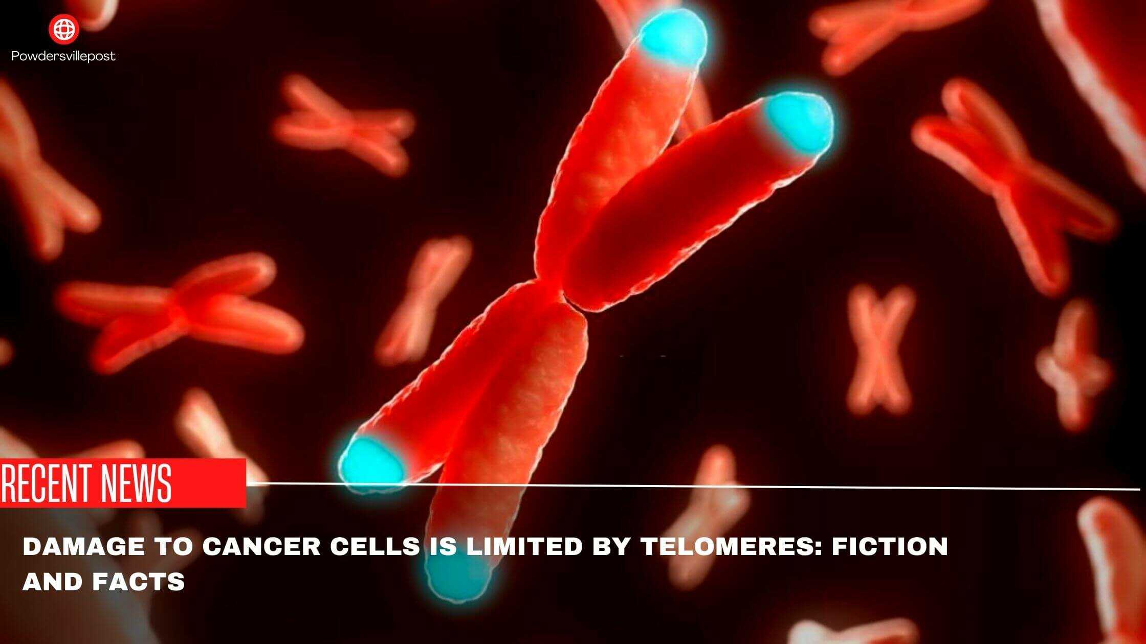 Damage To Cancer Cells Is Limited By Telomeres Fiction And Facts