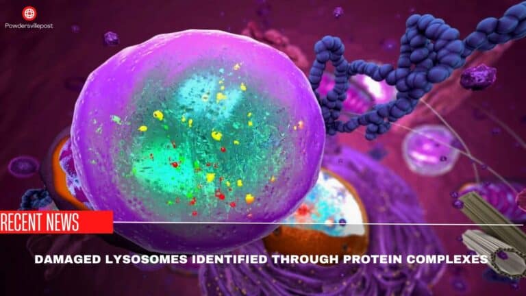 Damaged Lysosomes Identified Through Protein Complexes: Study