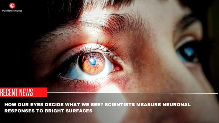 How Our Eyes Decide What We See: Scientists Measure Neuronal Responses To Bright Surfaces