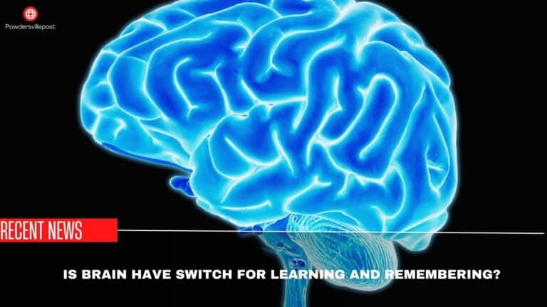 Is Brain Have Switch For Learning And Remembering?