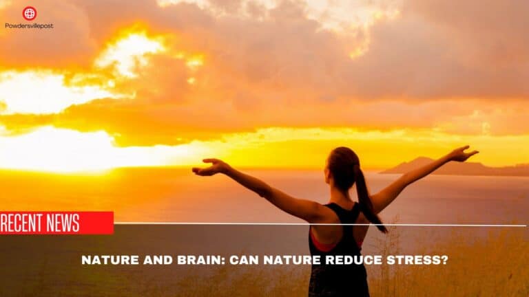 Nature And Brain: Can Nature Reduce Stress?