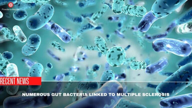 Numerous Gut Bacteria Linked To Multiple Sclerosis- Scientist’s Findings