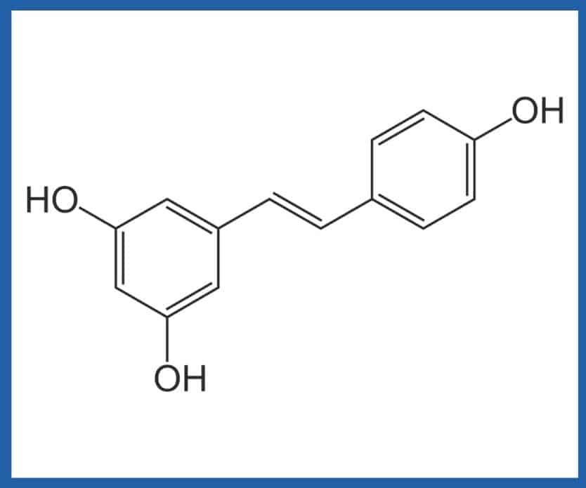 Relief Factor Ingredient  Resveratrol