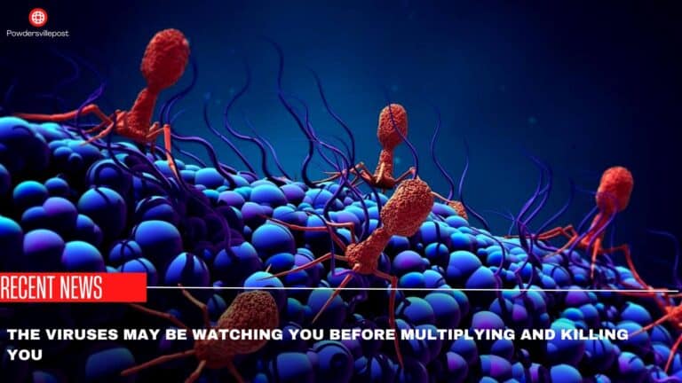 The Viruses May Be Watching You Before Multiplying And Killing You