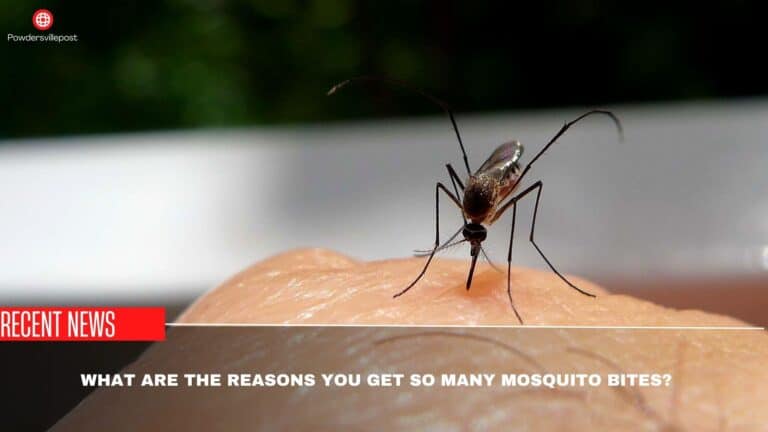 What Are The Reasons You Get So Many Mosquito Bites?