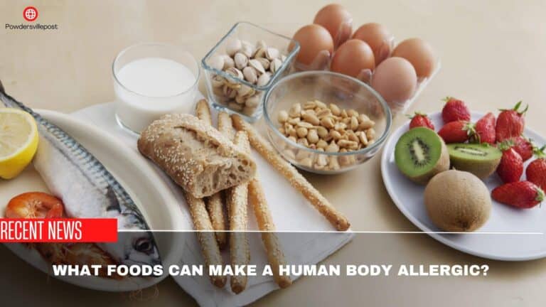 What Foods Can Make A Human Body Allergic?