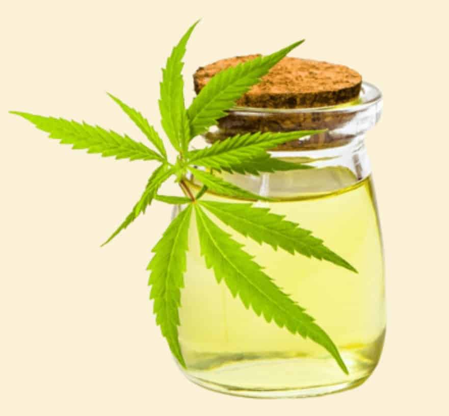 Wonder Leaf CBD Oil Ingredients