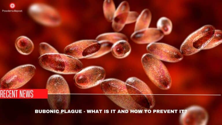 Bubonic Plague – What Is It And How To Prevent It?