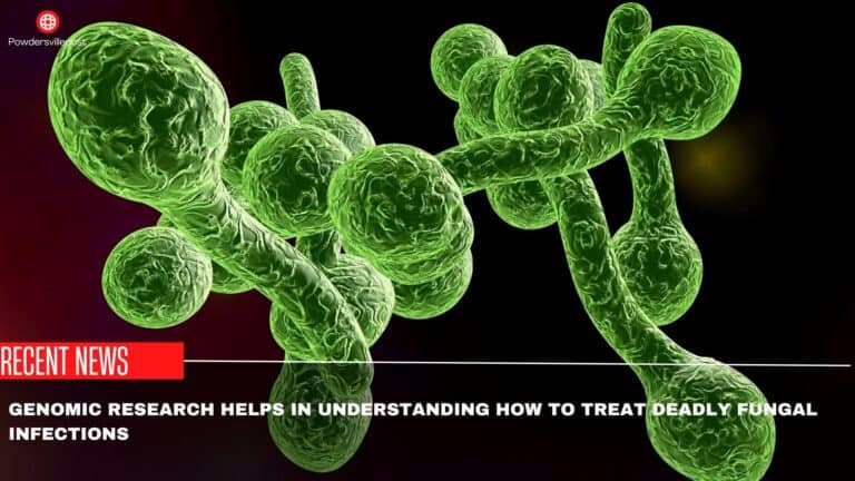 Genomic Research Helps In Understanding How To Treat Deadly Fungal Infections