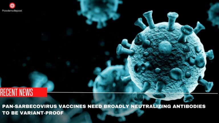 Pan-Sarbecovirus Vaccines Need Broadly Neutralizing Antibodies To Be Variant-Proof