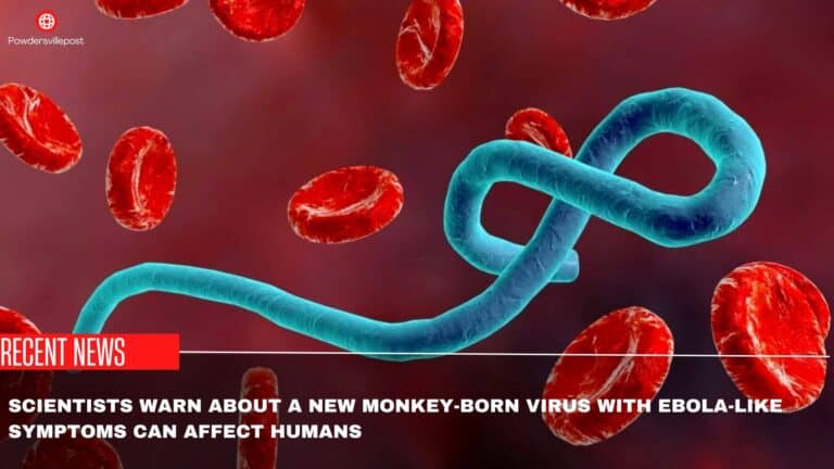 Scientists Warn About A New Monkey-Born Virus With Ebola-Like Symptoms Can Affect Humans