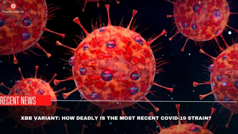 XBB Variant: How Deadly Is The Most Recent Covid-19 Strain?