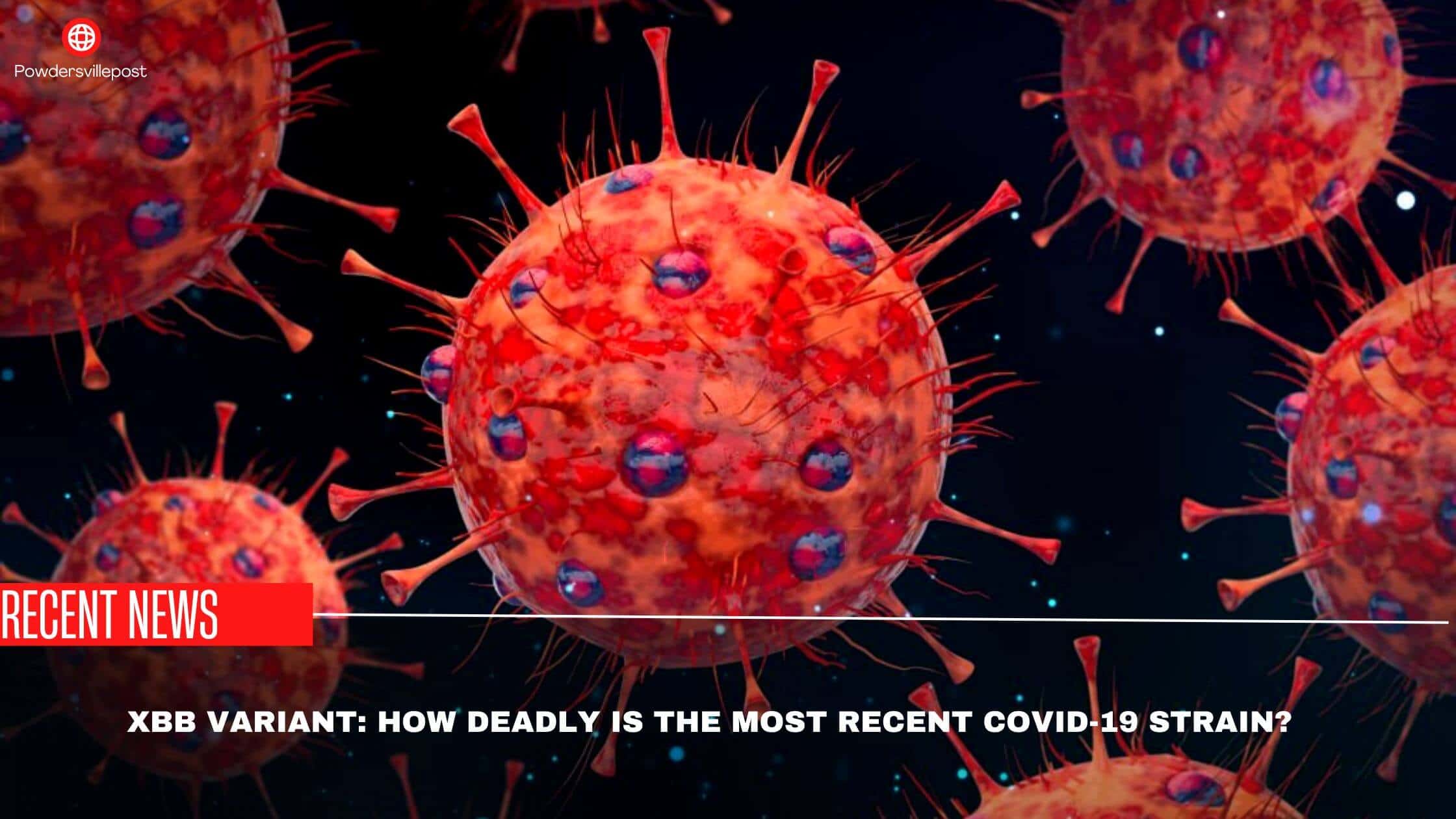 XBB Variant How Deadly Is The Most Recent Covid-19 Strain