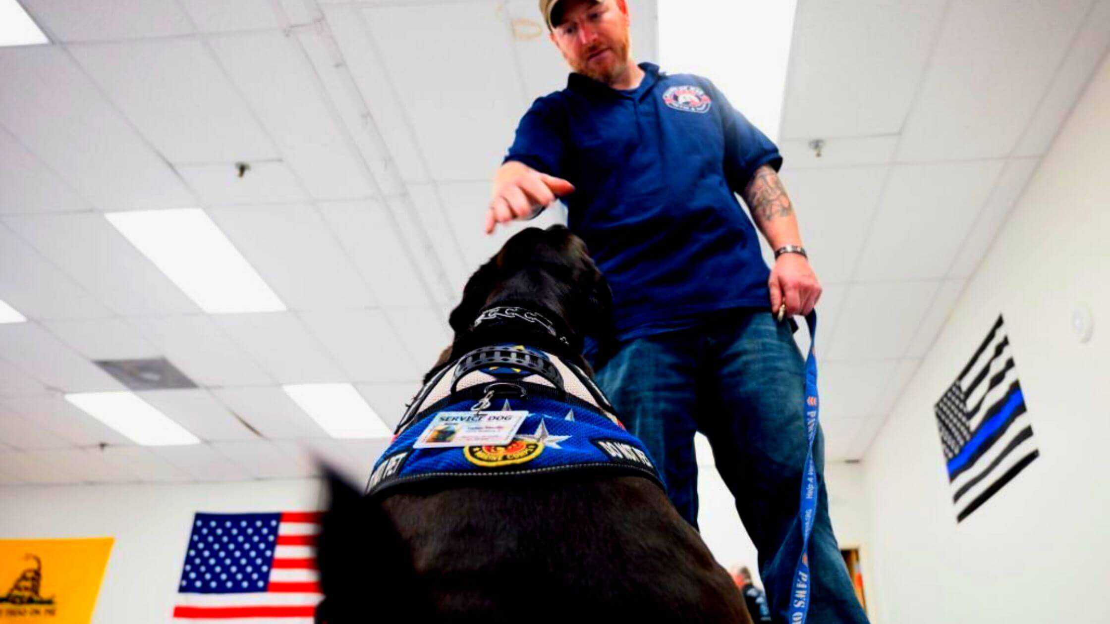 Service Dogs Aid Veterans With PTSD And Physical Injuries