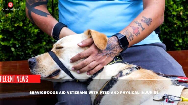 Service Dogs Aid Veterans With PTSD And Physical Injuries